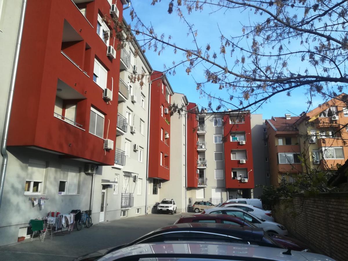 Paris Apartment -Free Private Parking Nowy Sad Zewnętrze zdjęcie